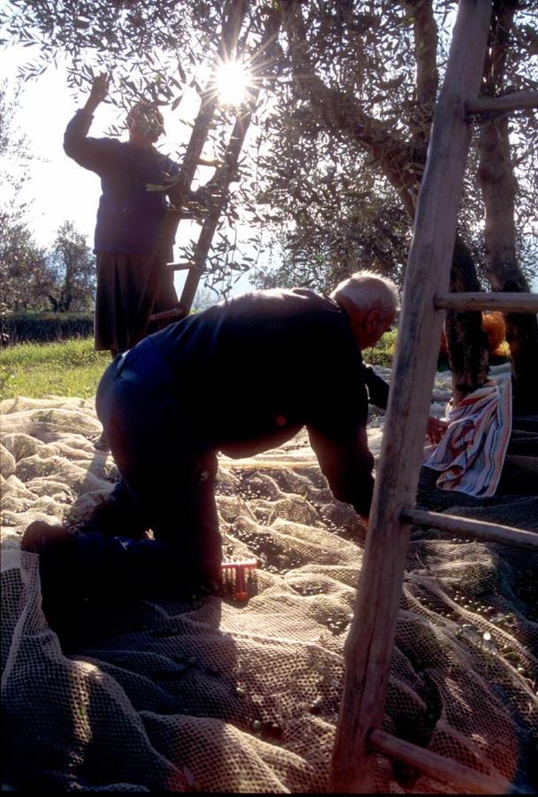 Alojamento de Turismo Rural Il Selvino Terricciola