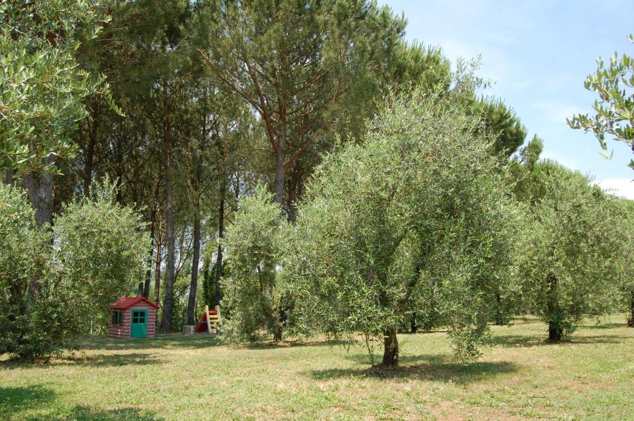 Il Selvino Terricciola